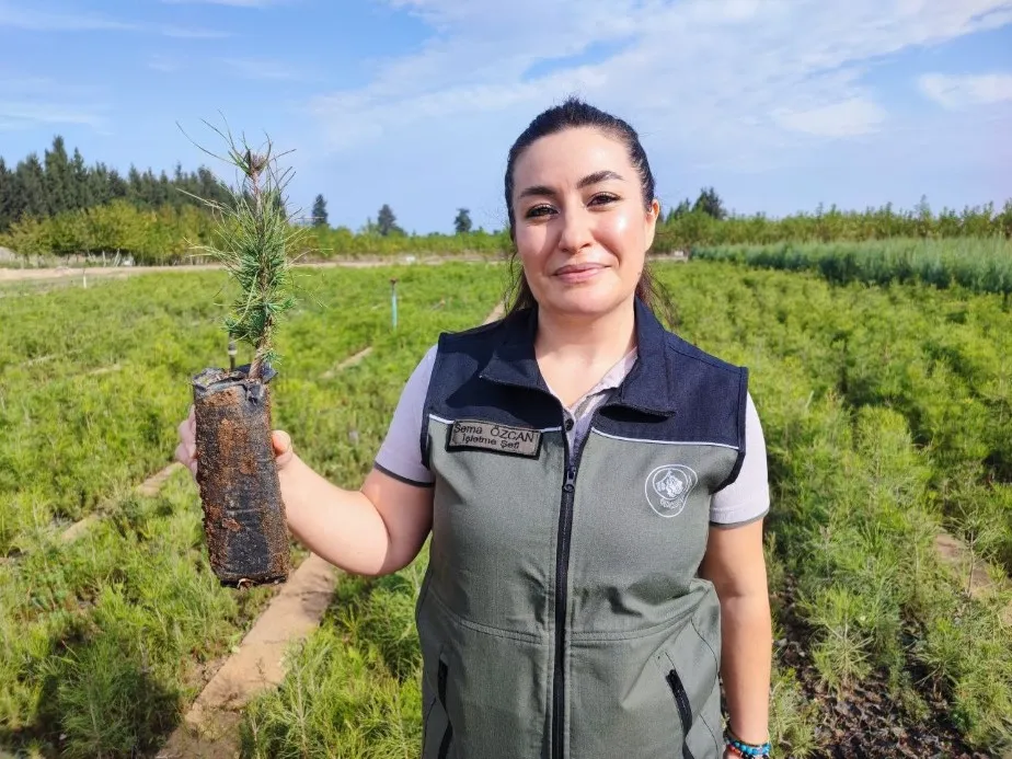 Yanan ormanlar üretilen milyonlarca fidanla yeşerecek