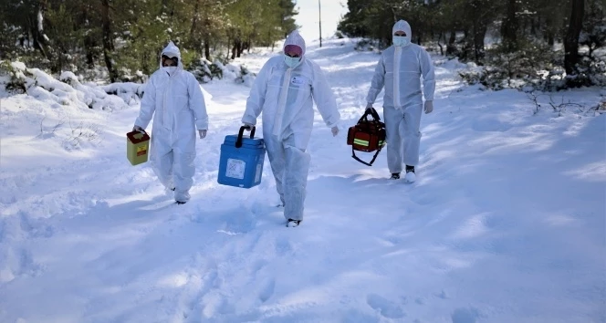 Aşı ekipleri komando gibi: Kar ve baraj onlara engel olamadı