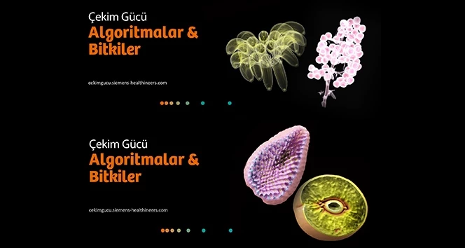 Algoritmalar ve Bitkiler sergisi çevrimiçi olarak erişime açıldı