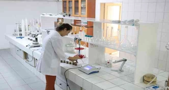 FİSKOBİRLİK