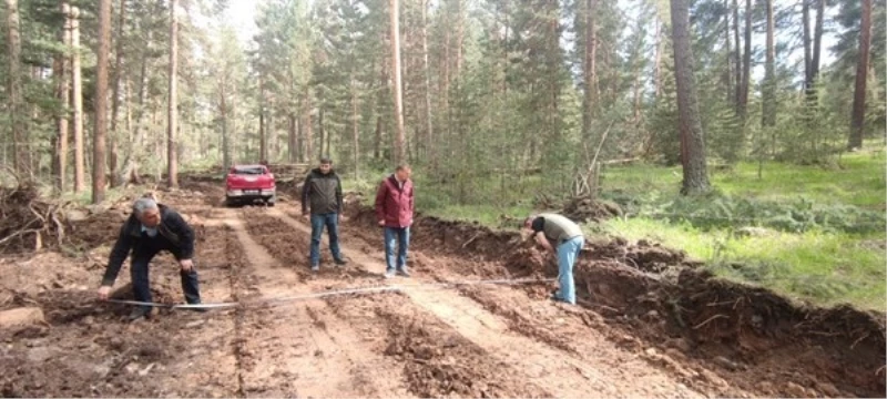 Şenkaya ve Oltu’da orman yolları onarılıyor