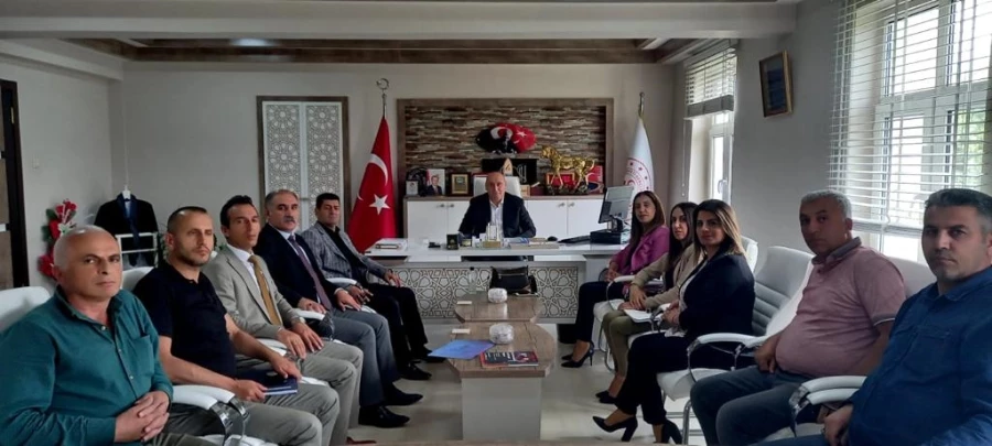 OLEYİS