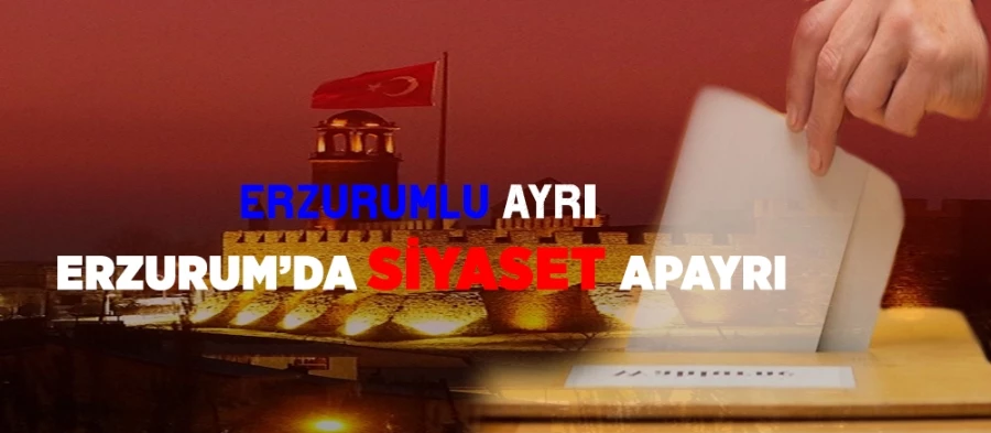 Erzurumlu Ayrı, Erzurum’da Siyaset Apayrı