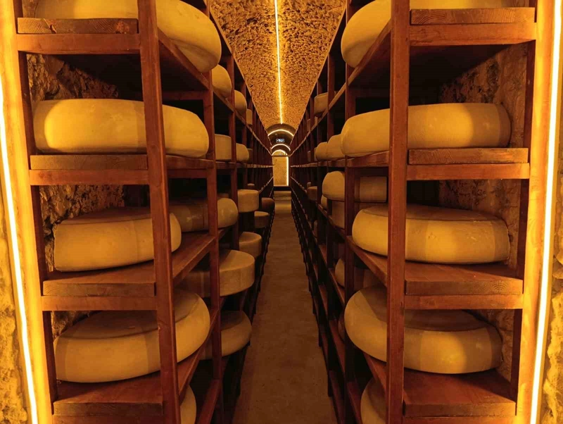 Kars Peynir Müzesi 2025