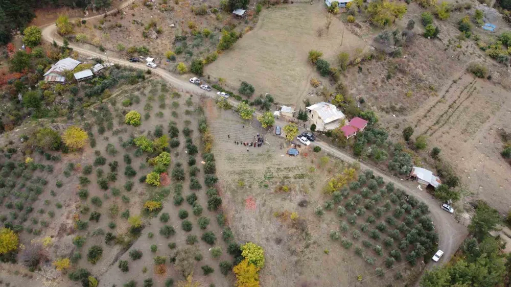 Dünyanın en pahalı baharatı safran Adana’da hasat edildi