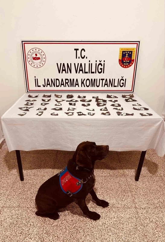 Kapsül İçinde Uyuşturucu Operasyonu