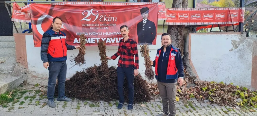 Domaniç’te çiftçilere yüzde 75 hibeli 3 bin adet ahududu fidanı dağıtıldı