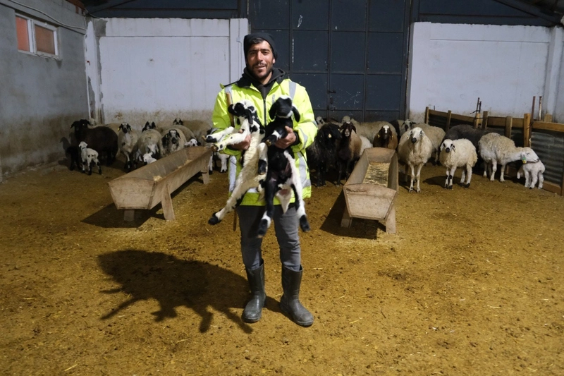 Erzincanlı üretici 8 milyon TL