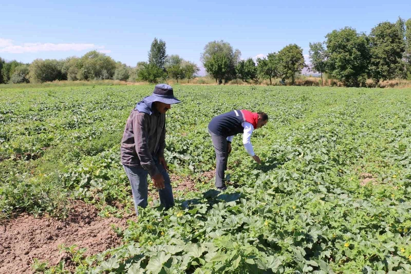 ÇKS Başvuruları 31 Aralık