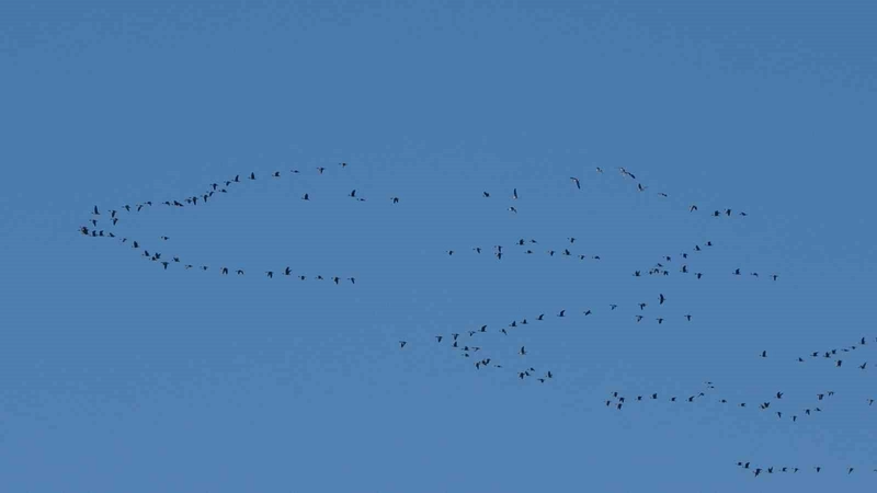 Zorlu Göçün Durağı Erçek Gölü