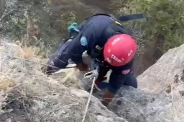 Kayseri İtfaiyesi Viyadükte Mahsur Kalan Keçiyi Kurtardı