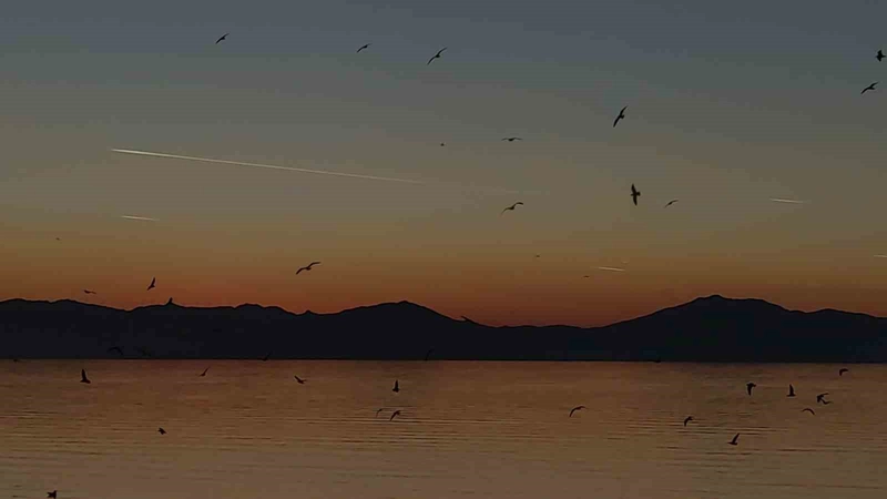 Van semalarında kartpostallık akşam: Uçaklar, kuşlar ve kızıl günbatımı