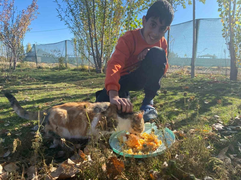 Seren Albay: Sokak Hayvanlarına Üç Yıldır Yuva Olan Gönüllü