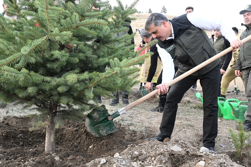 Hastaya Kan, Ormana Can