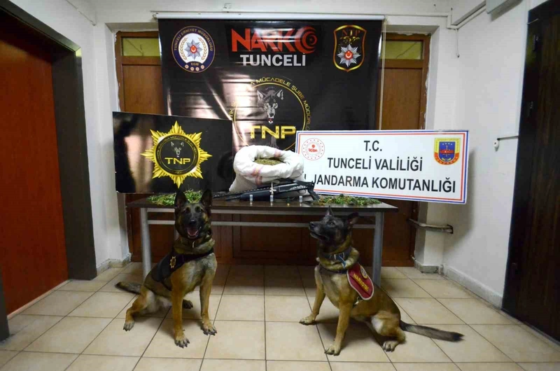 Tunceli merkezli 3 ilde uyuşturucu operasyonu: 23 kilo esrar ele geçirildi