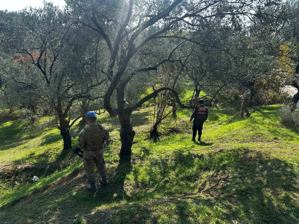 Edremit’te zeytin hırsızlığına karşı komandolar sahada
