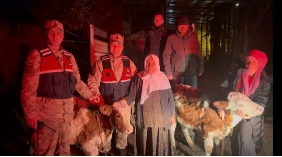 Jandarma çalınan hayvanları sahiplerine teslim etti