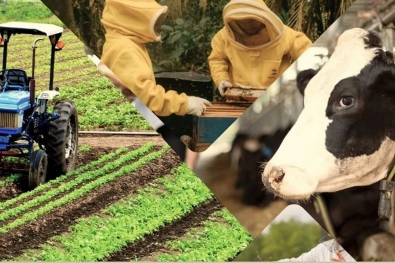 Çiftçiye 1,5 Milyar TL Destek Ödemesi Yapıldı