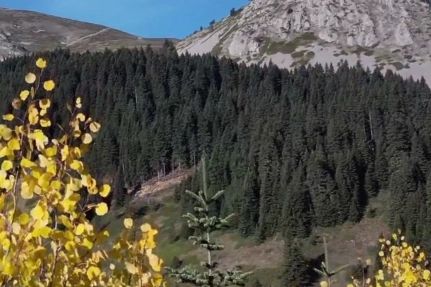 Ilgaz Dağı Sonbahar Renkleriyle Büyülüyor