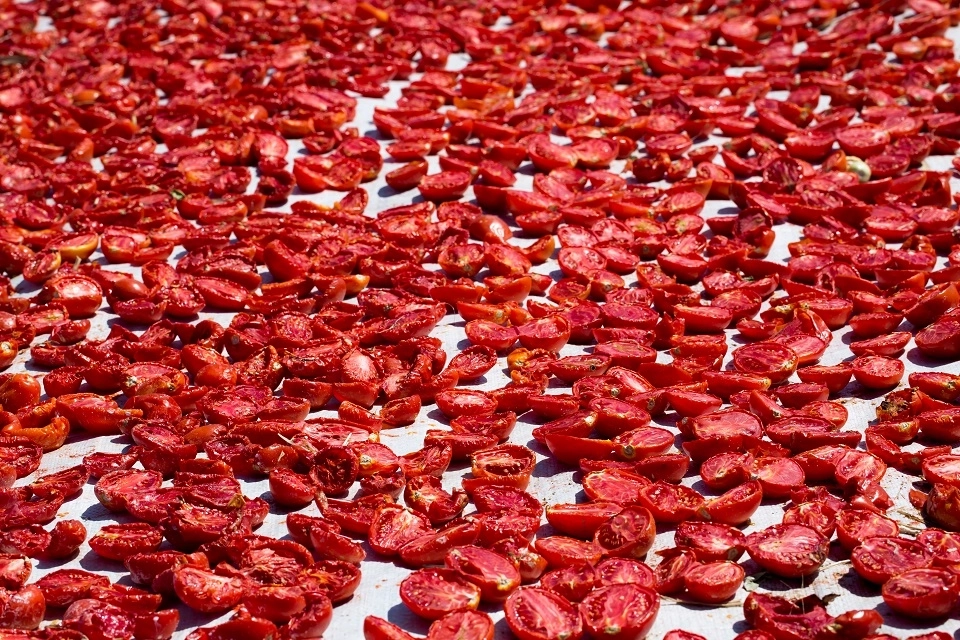 Kuru Domates İhracatında Dünya İkinciliği