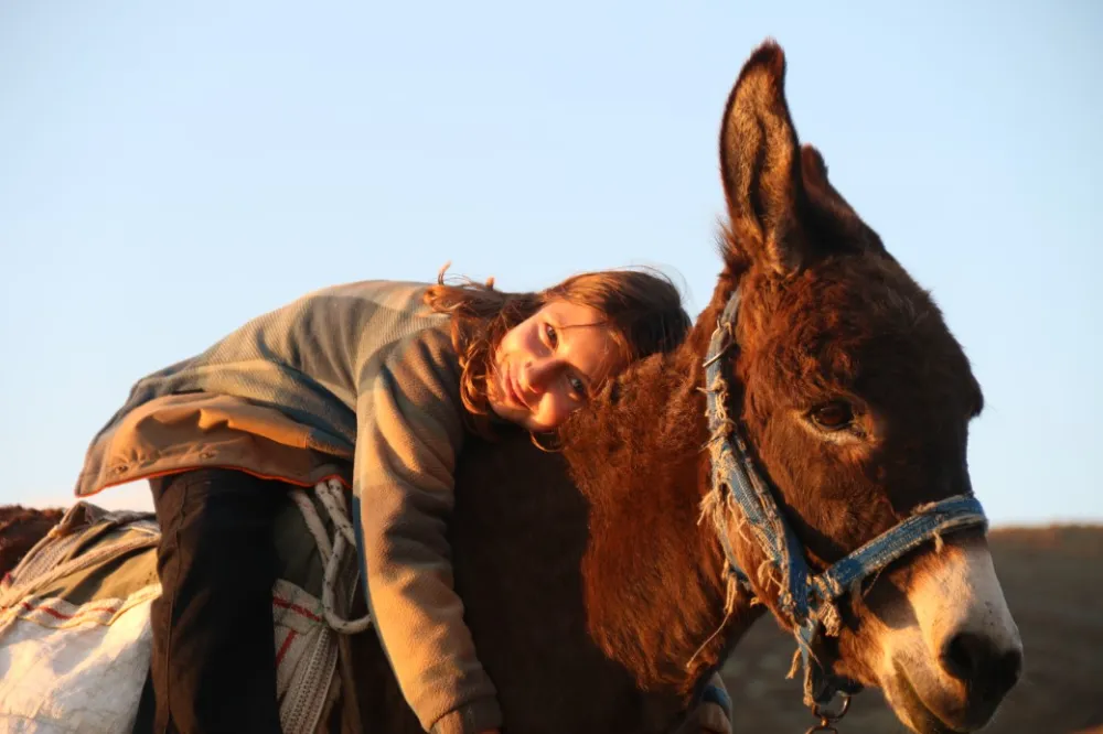 Küçük kız baba mesleği çobanlığı devam ettiriyor: Eşeğinin üzerinde koyunlarını güdüyor