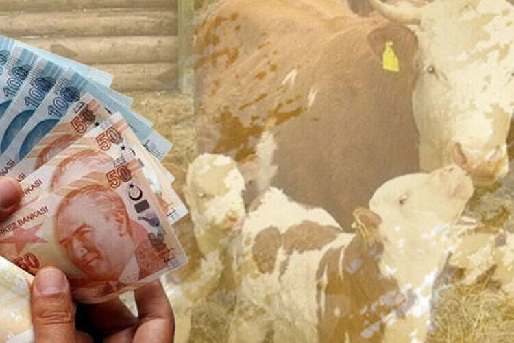 1,46 Milyar TL Tarımsal Destek Üretici Hesaplarında