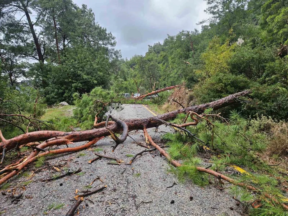 Menteşe Akbük’te şiddetli yağış ve rüzgar etkili oldu