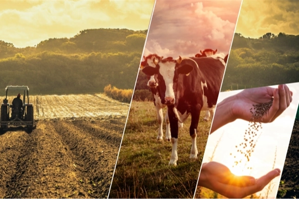 Çiftçiye 1,1 Milyar TL