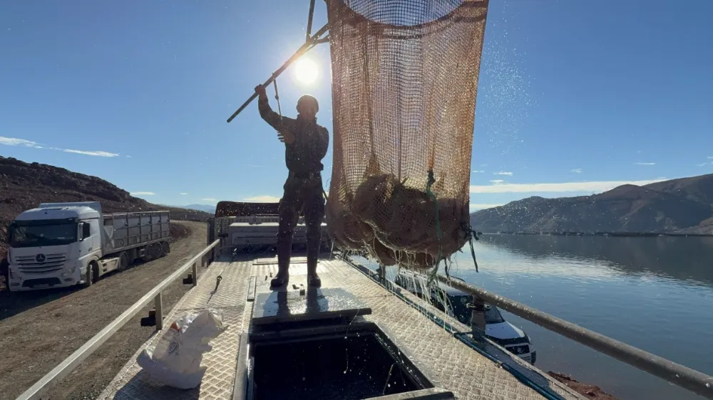 Denizi olmayan Tokat’ın somonları dünya sofralarına ulaşıyor