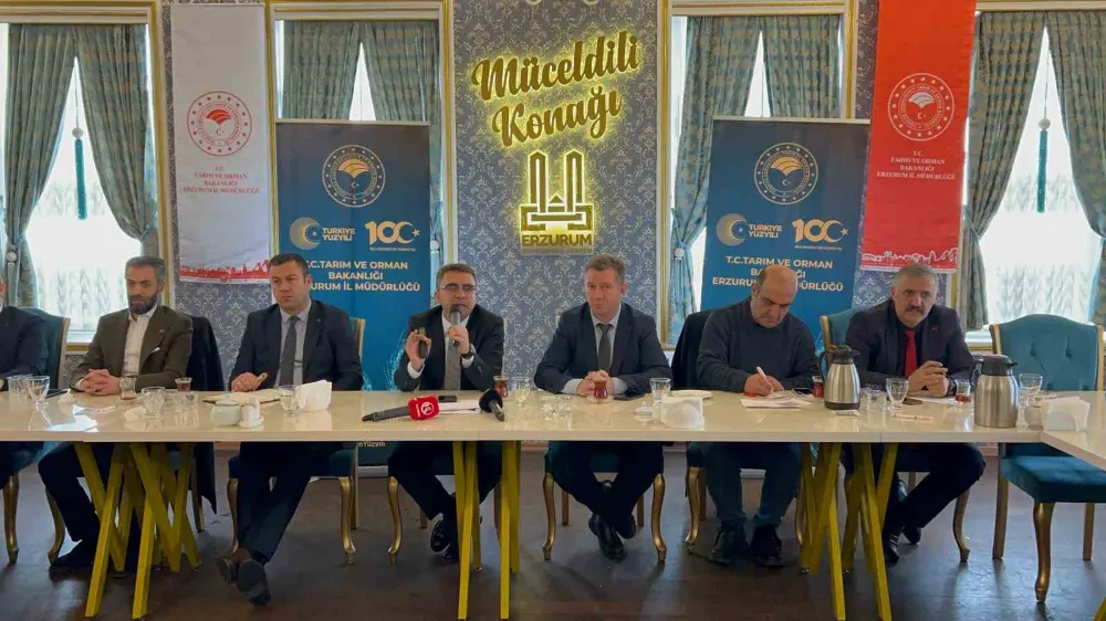 Erzurum büyükbaş hayvan sayısı ile Türkiye’de üçüncü sırada yer alıyor