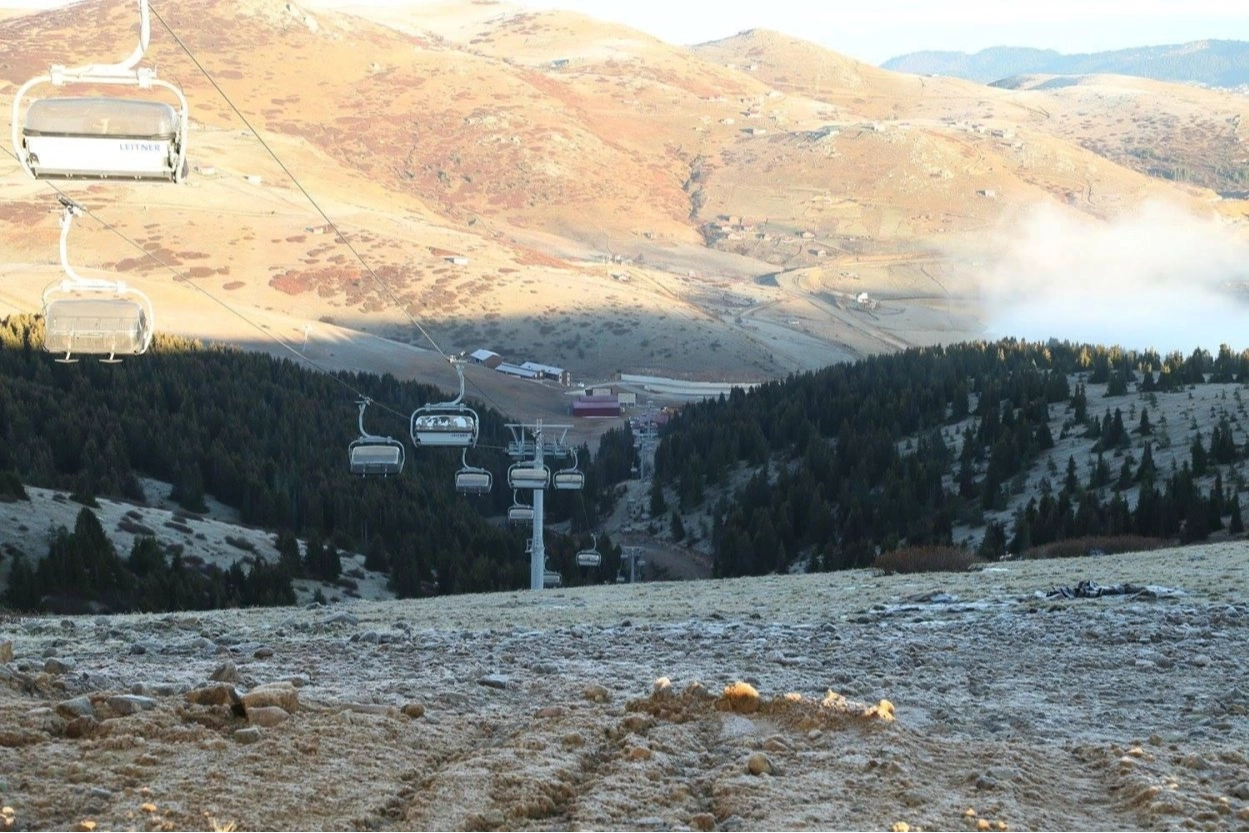 Ordu