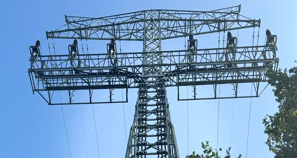 Berlin’de elektrik direklerinde kundaklama şüphesi